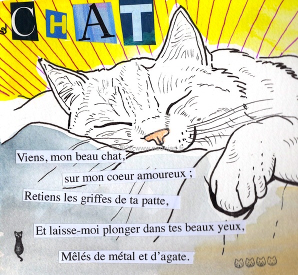 Carnet créatif "Chat alors!" par Nadej
