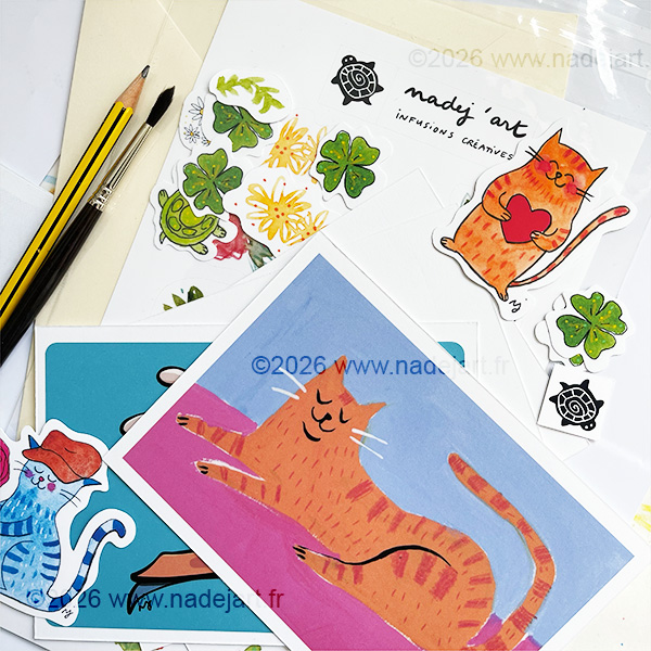 courrier artistique surprise snail mail club