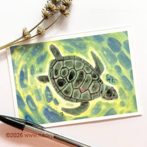 tortue eau carte illustration artiste indépendant