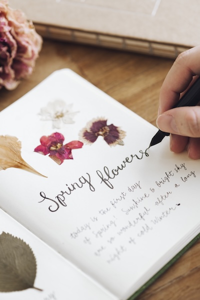 démarrer son journal créatif