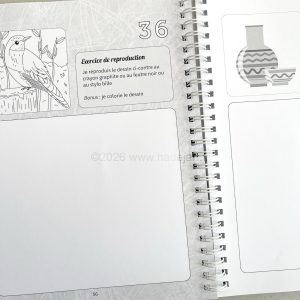 Mon carnet à dessiner, 100 exercices pour progresser