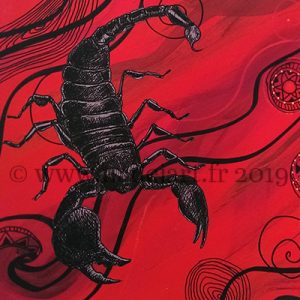 carte illustrée signe du scorpion
